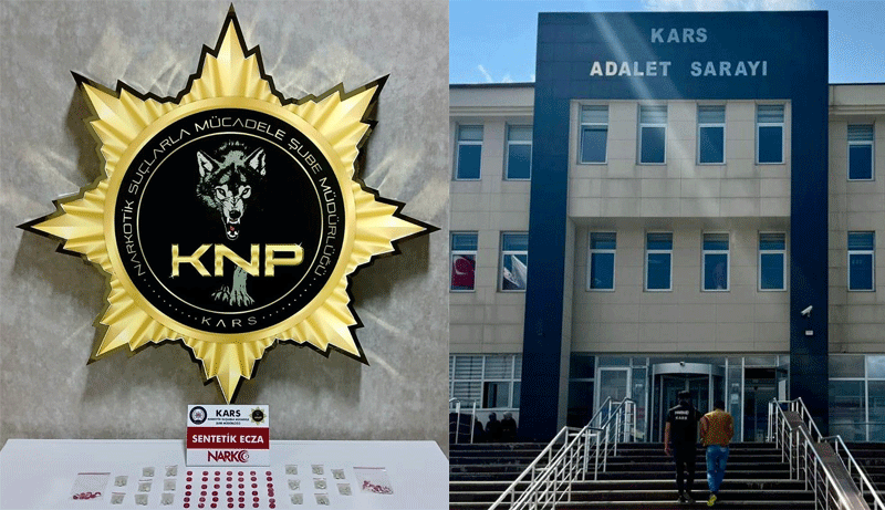 Kars'ta İranlı şahıs çok sayıda sentetik hapla yakalandı