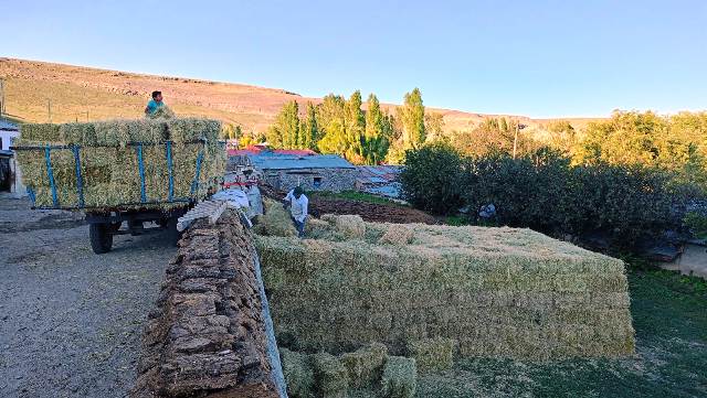 Kars'ta balyalar istifleniyor