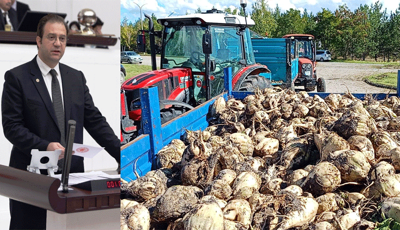 Alp, “Pancar üreticisi emeğinin karşılığını almalı!”