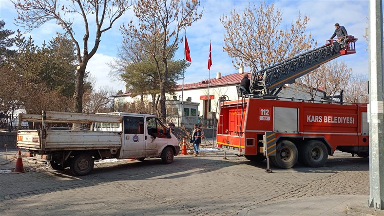 Kars'ta asırlık ağaçlara kış budaması yapılıyor