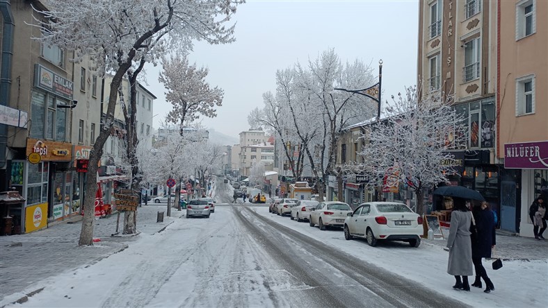 Kars'ta kış manzaraları