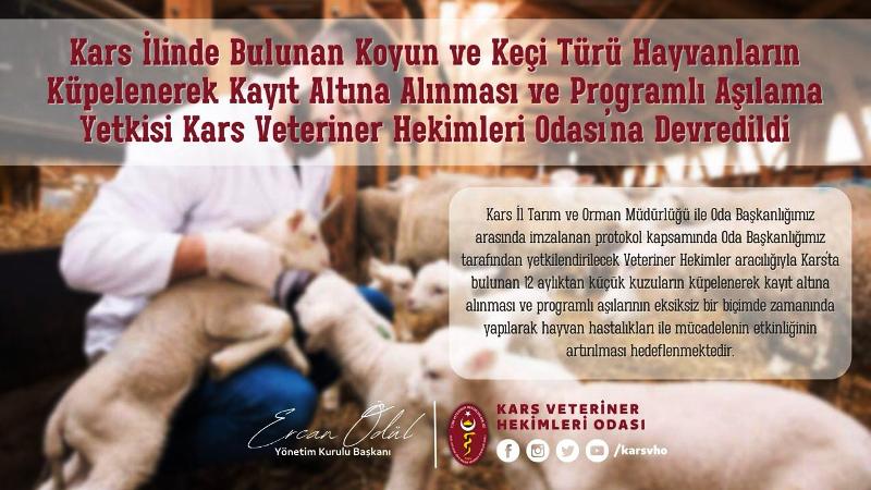 Kars’ta küçükbaş hayvancılık için önemli adım