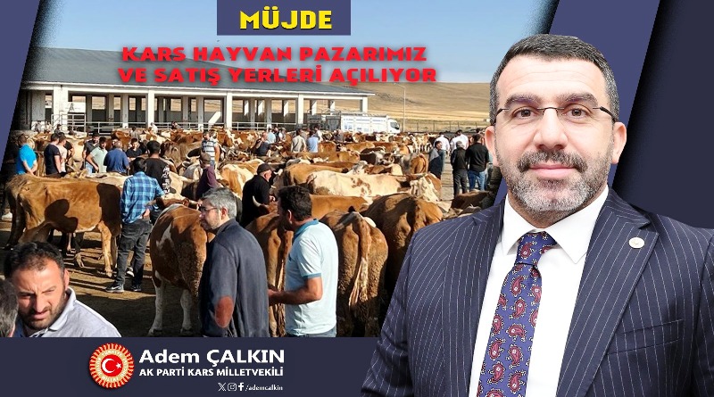 Kars hayvan pazarı açılıyor