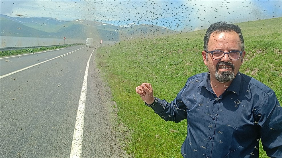 Çıldır Gölü kıyısını sinekler istila etti