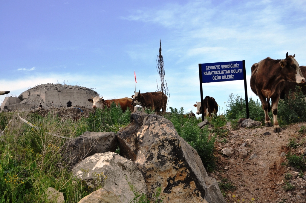 SAT1 Serotipine karşı hızla tedbir alındı