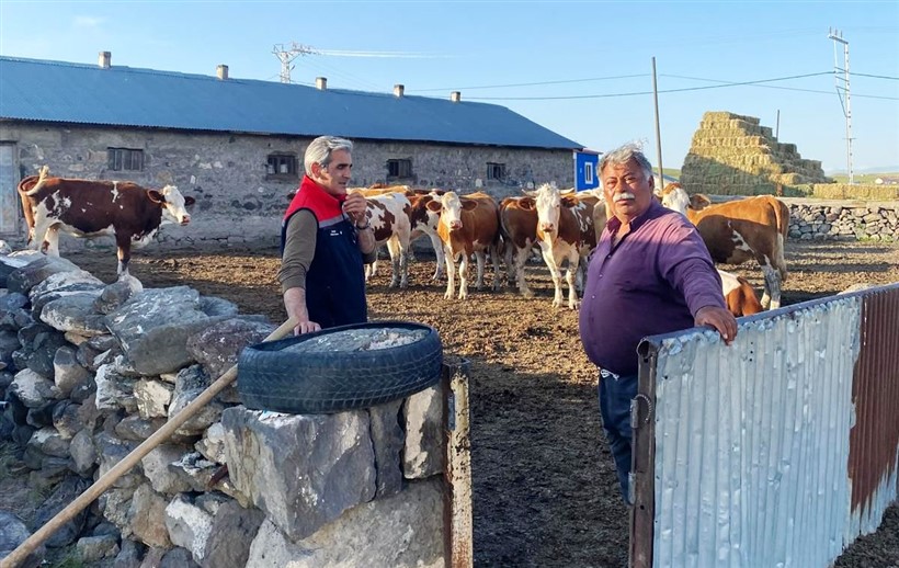 Kars’ta şapla mücadele devam ediyor