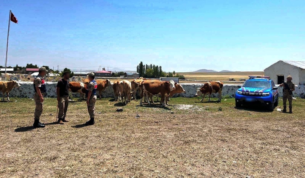 Jandarma, kayıp hayvanları sahiplerine teslim etti