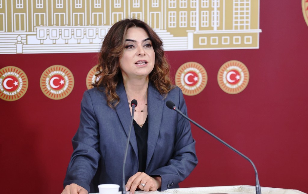 Kars’ta köpeklere uygulanan vahşet, Koçyiğit ile TBMM gündeminde