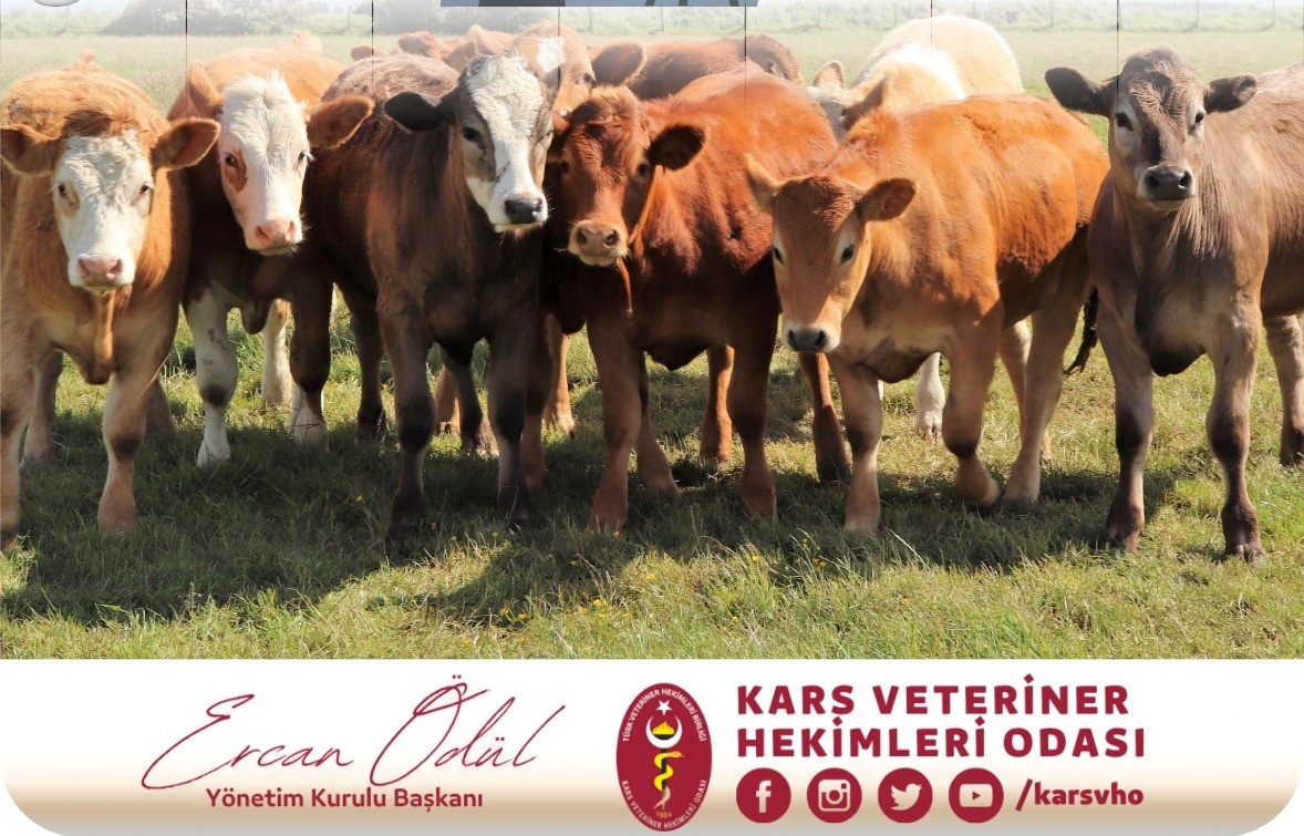 Ödül: Kış kapıda, tedbirler alın!