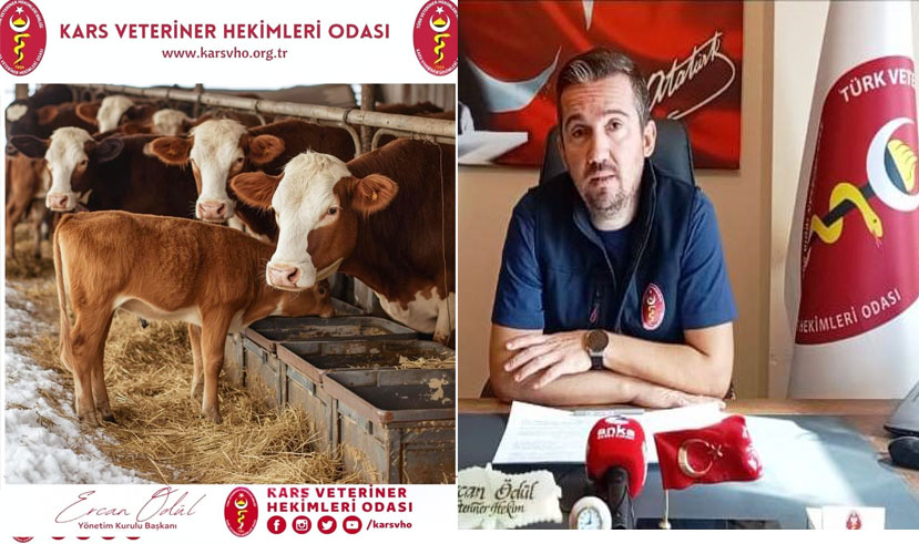 VHO: “Soğuk stresi verimi düşürmesin, buzağılarımız üşümesin”