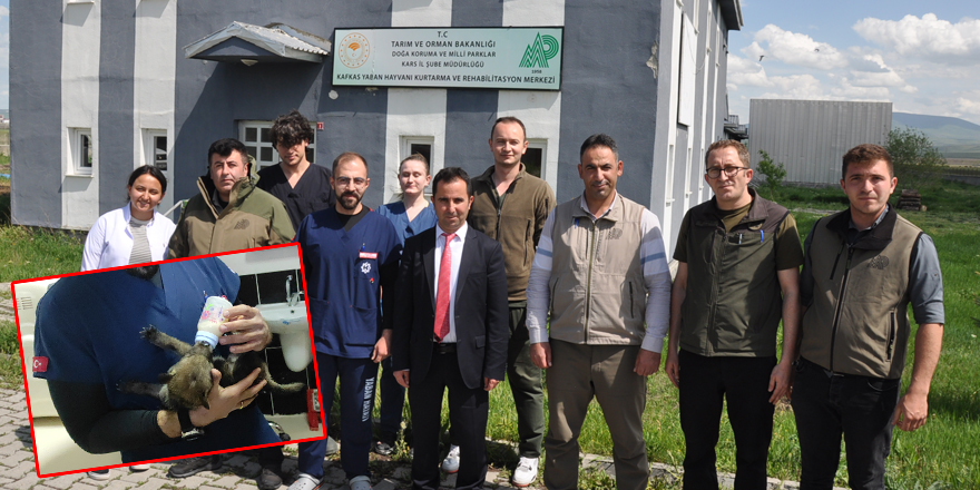 7 yılda 745 yaralı yaban hayvanı doğal ortamda şifa buldu