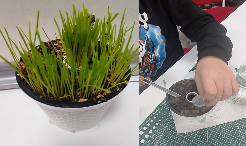 BİLSEM’de Don Riskine Karşı Toprak Altı Tarım Prototipi Geliştirildi