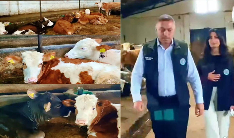 Kars Ziraat Odası’ndan hayvan çiftliği modeli