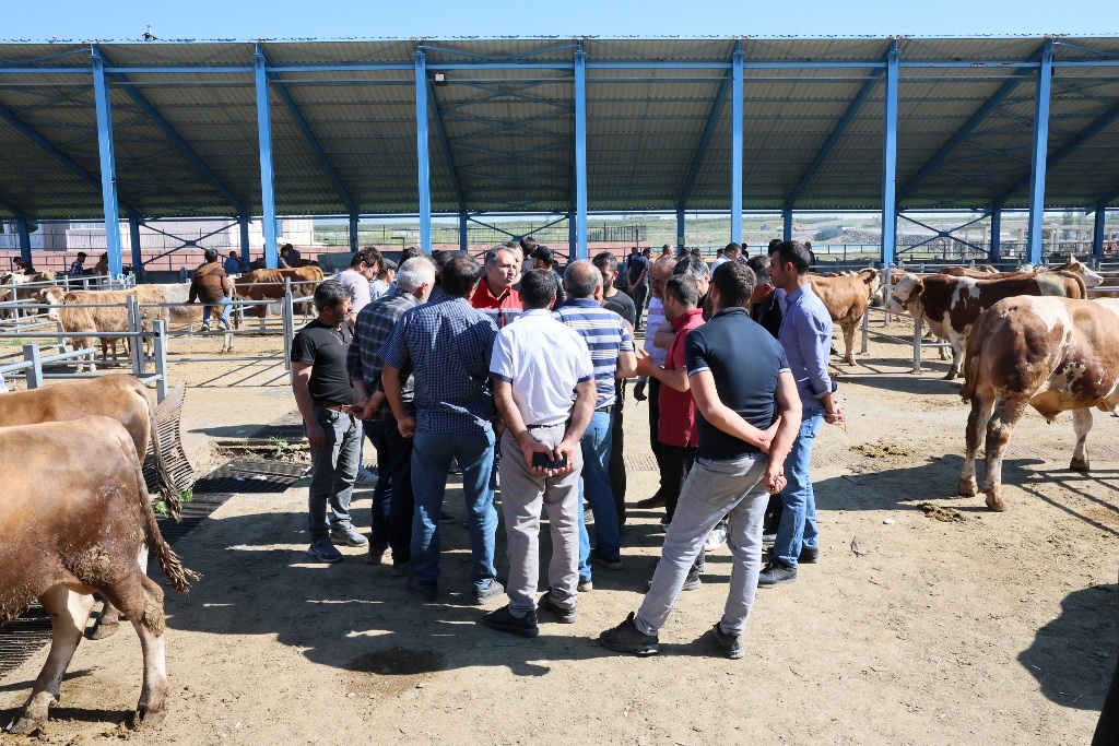 Selim’de çiftçi mallarını koruma faaliyetleri başlatıldı