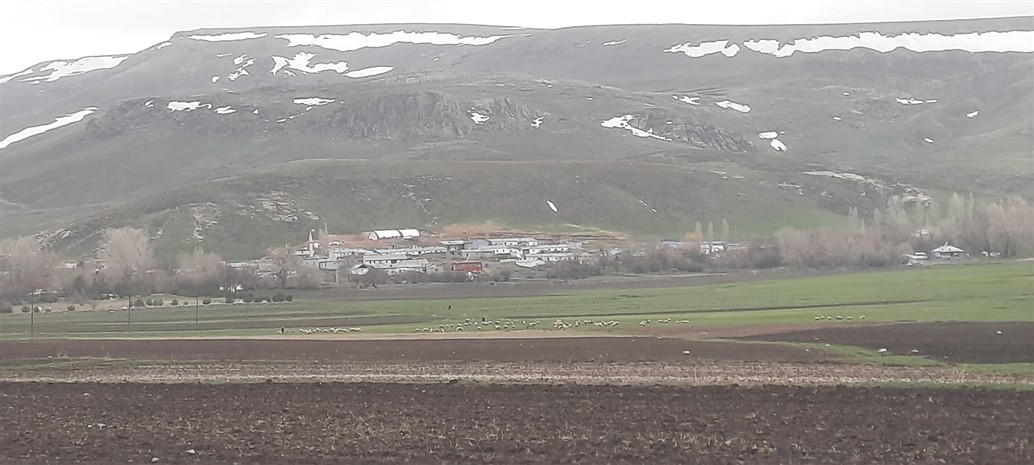 Kars’ın köyleri yeşile hasret kaldı