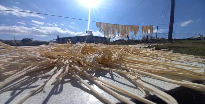 Gün Eriştesi Gün Yüzüne Çıktı!