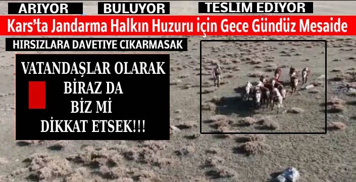 Kars'ta Jandarma Halkın Huzuru İçin Gece Gündüz Mesaide