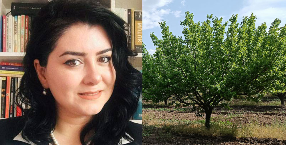 BAHARIN MÜJDECİSİ; HIDIRELLEZ