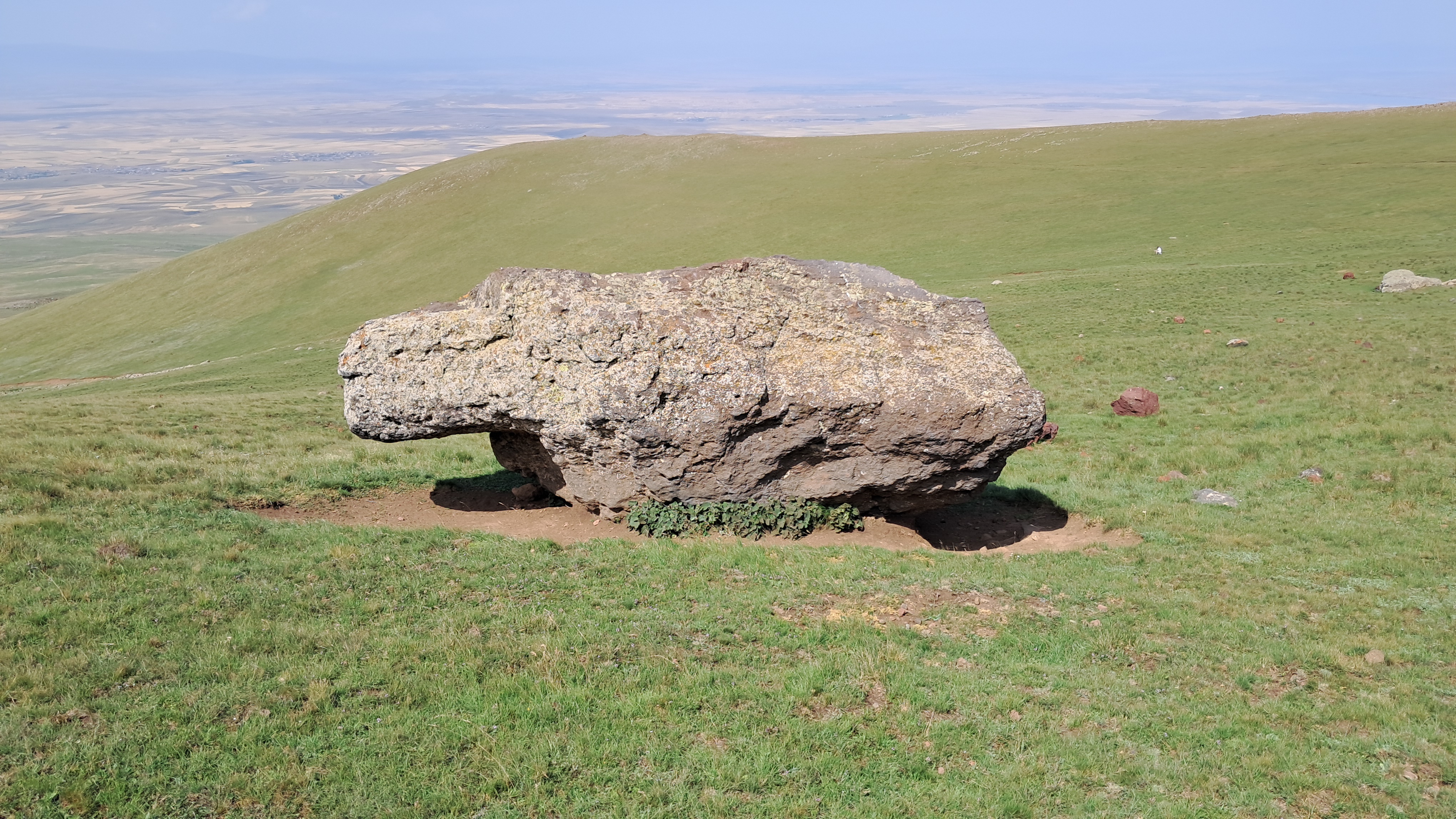 Dumanlı Dağda bir hipopotam