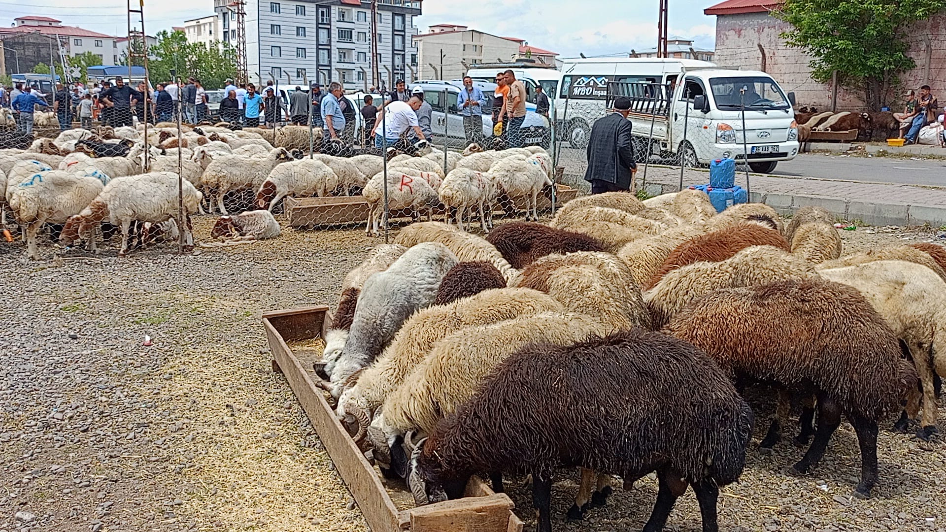 Kars'ta kurban pazarının tadı tuzu yok