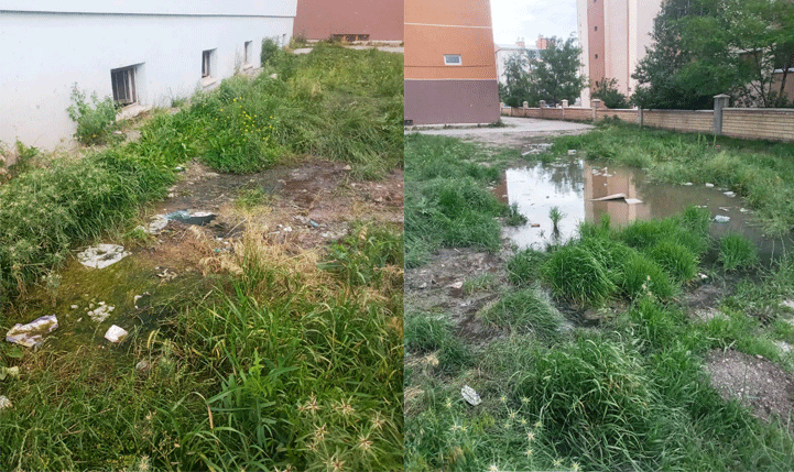 Lağım atıkları çevreyi tehdit ediyor