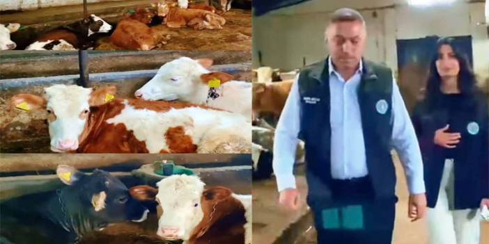 Kars Ziraat Odası’ndan hayvan çiftliği modeli