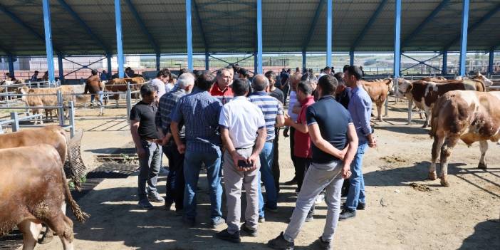 Selim’de çiftçi mallarını koruma faaliyetleri başlatıldı