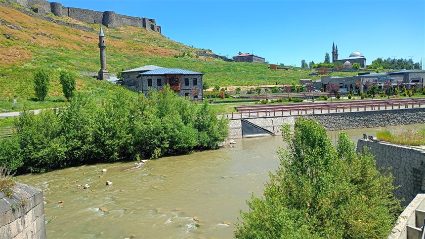 agaclar-kars-cayinin-akisini-zorlastiriyor-001.jpg