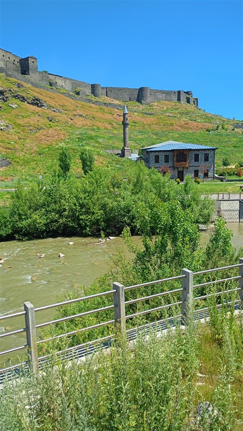 agaclar-kars-cayinin-akisini-zorlastiriyor-003.jpg