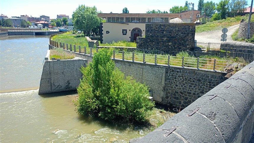 agaclar-kars-cayinin-akisini-zorlastiriyor.jpg